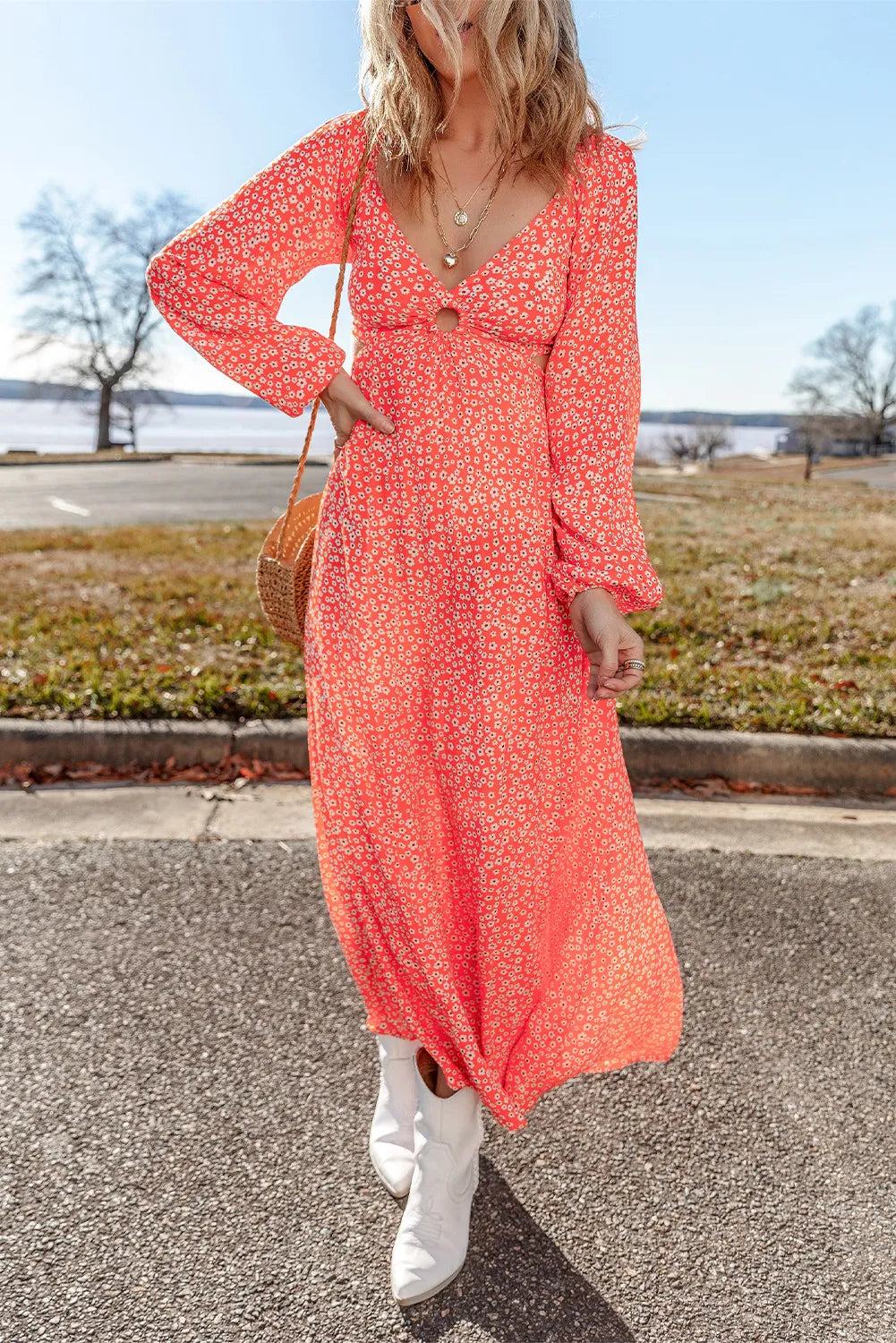 Printed V-Neck Long Sleeve Midi Dress